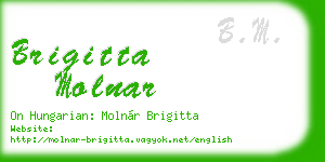 brigitta molnar business card
