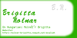 brigitta molnar business card